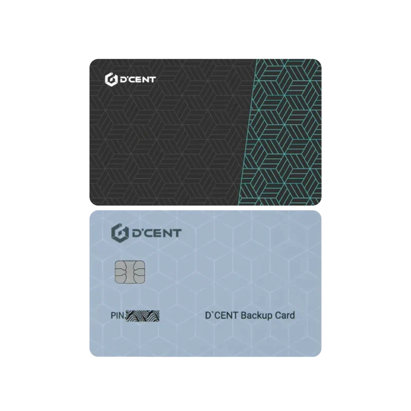 All In One Card Wallet + Backup Card Package (EVM only)